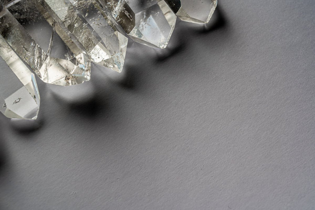 Graine de vie signification et difference avec la fleur de vie | Source Sacree