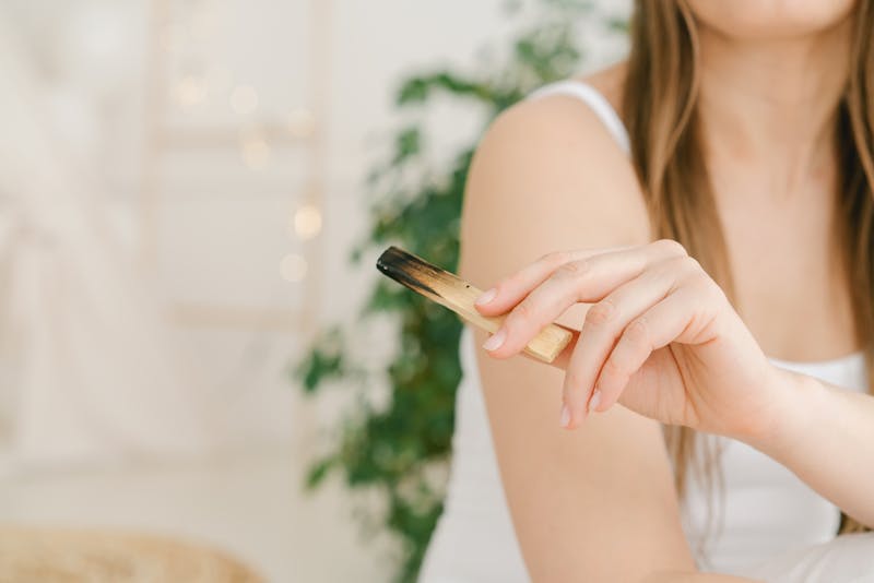 Sauge blanche purification rituel fumigation | Source Sacree