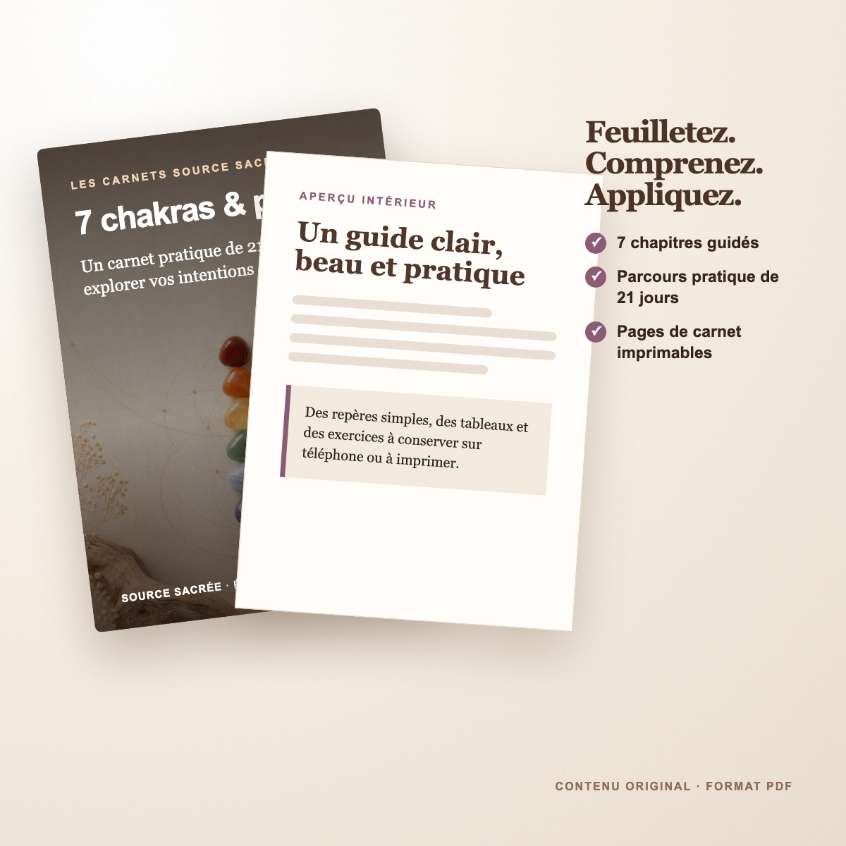 Aperçu intérieur du carnet des chakras et pierres