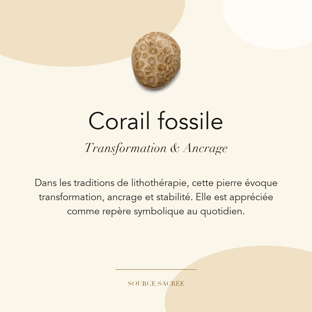 Corail fossile : transformation, ancrage et stabilité — symbolique traditionnelle