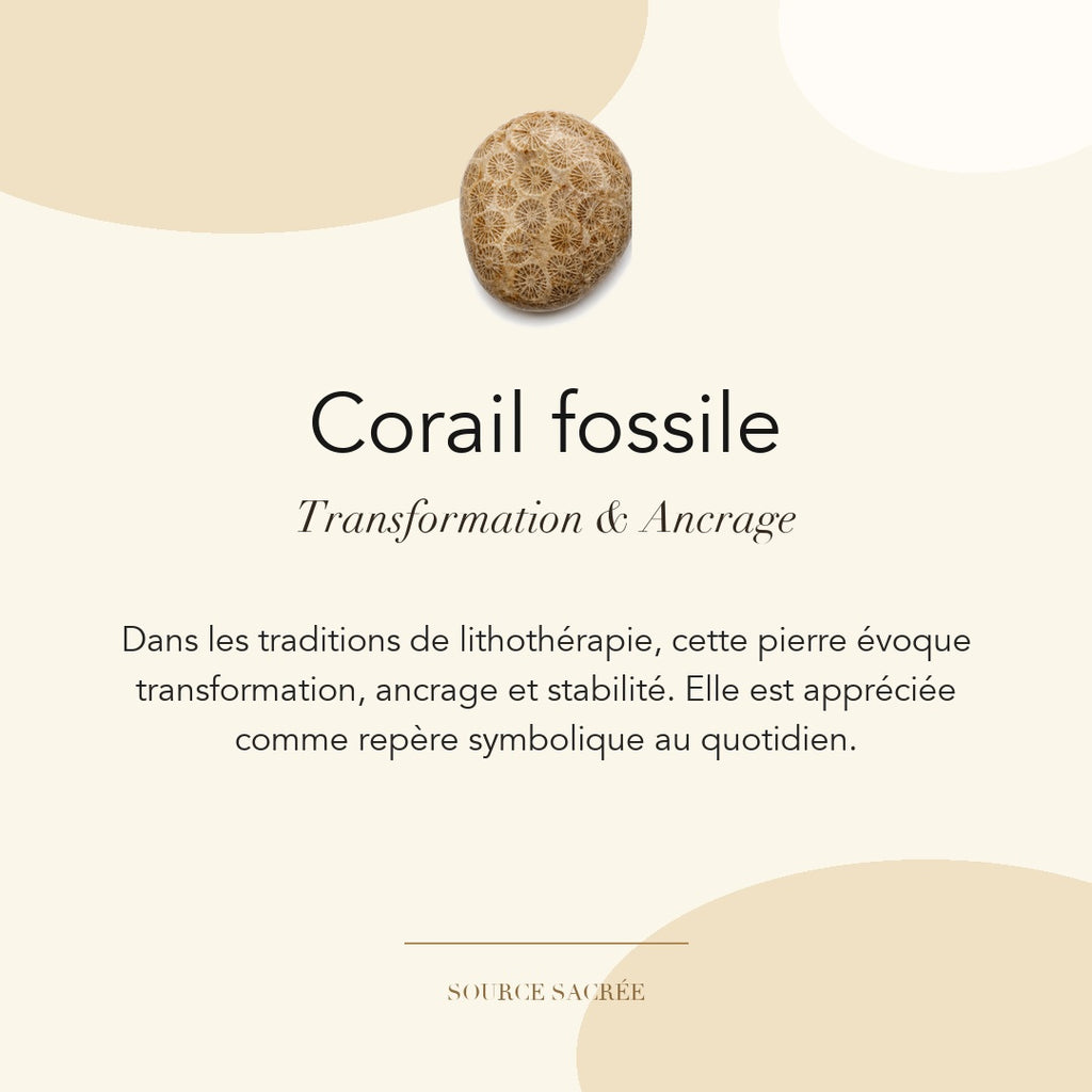 Corail fossile : transformation, ancrage et stabilité — symbolique traditionnelle