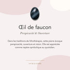 Œil de faucon : perspicacité, ouverture et vision — symbolique traditionnelle