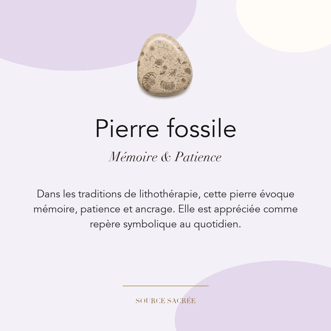 Pierre fossile : mémoire, patience et ancrage — symbolique traditionnelle